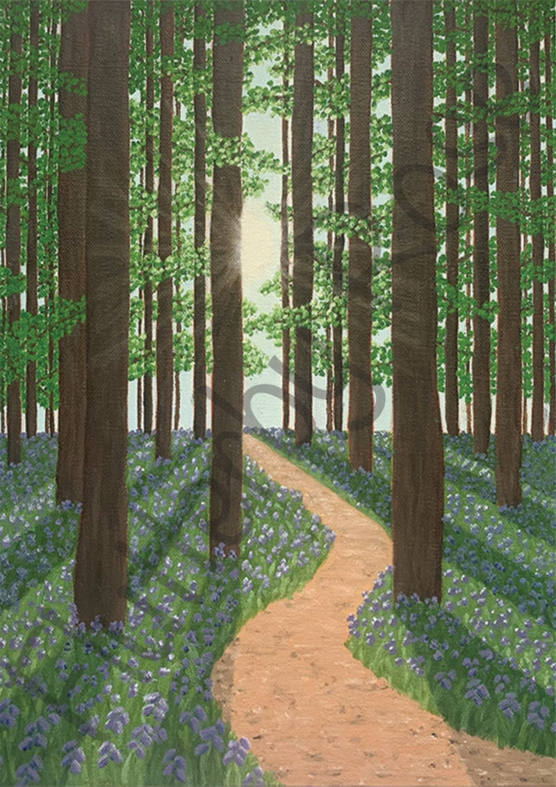 Light through the Bluebells - Image 2